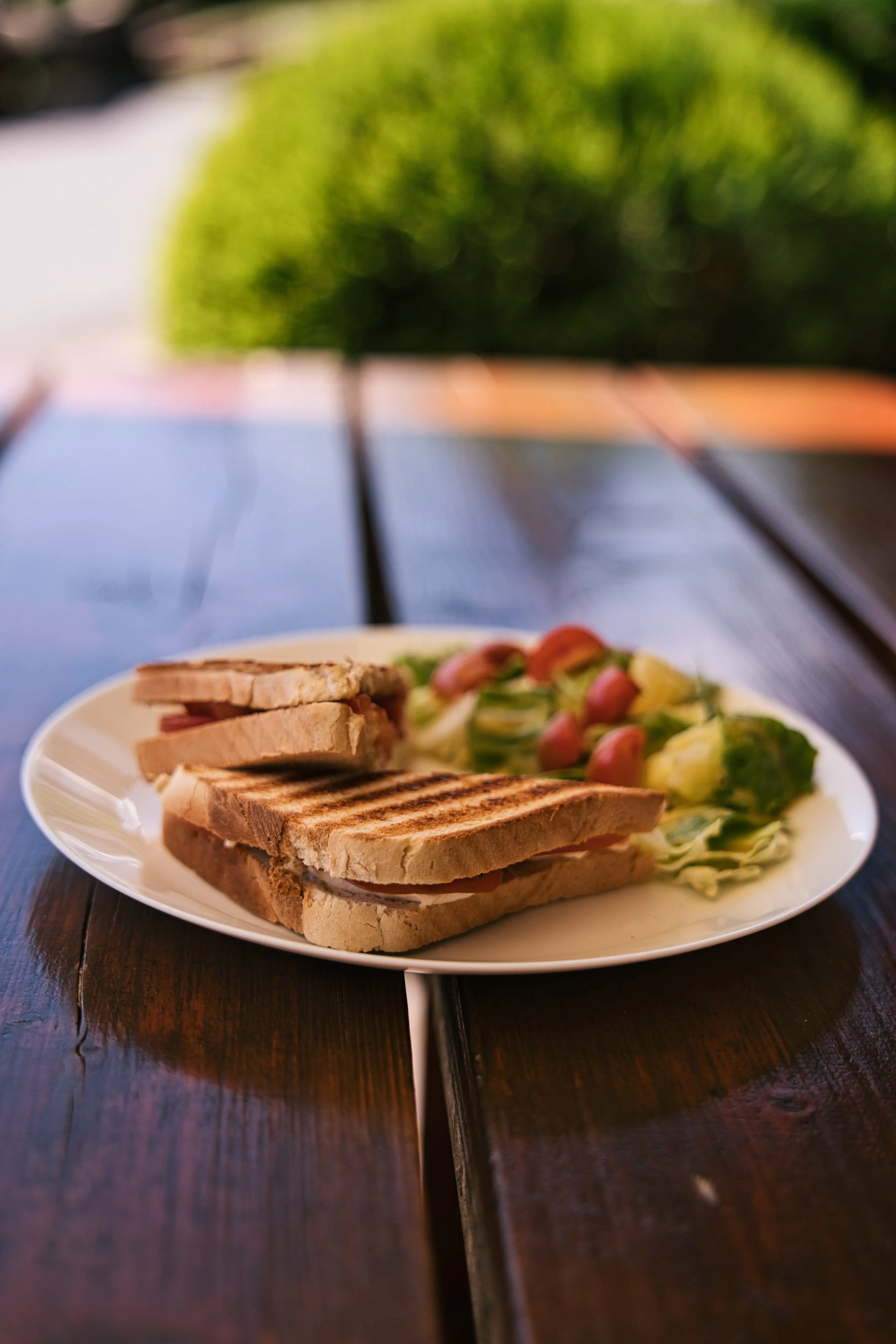 Toast s mozzarellou, rajčaty a salátem